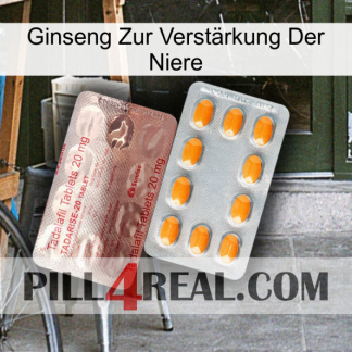 Ginseng Zur Verstärkung Der Niere new13